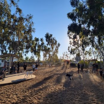 Dog Park at Ann Day Community Park